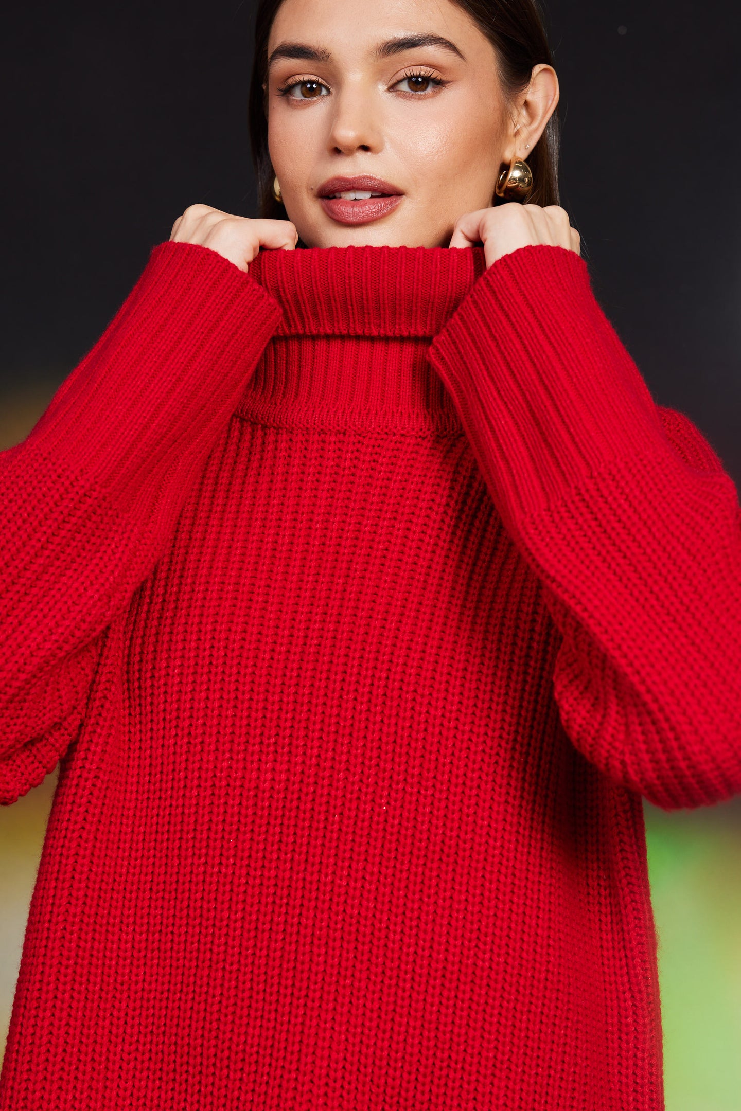 Irene Turtleneck Sweater